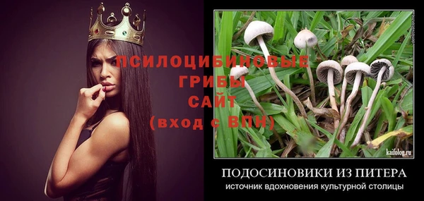 шишки Алексеевка