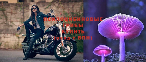 шишки Алексеевка